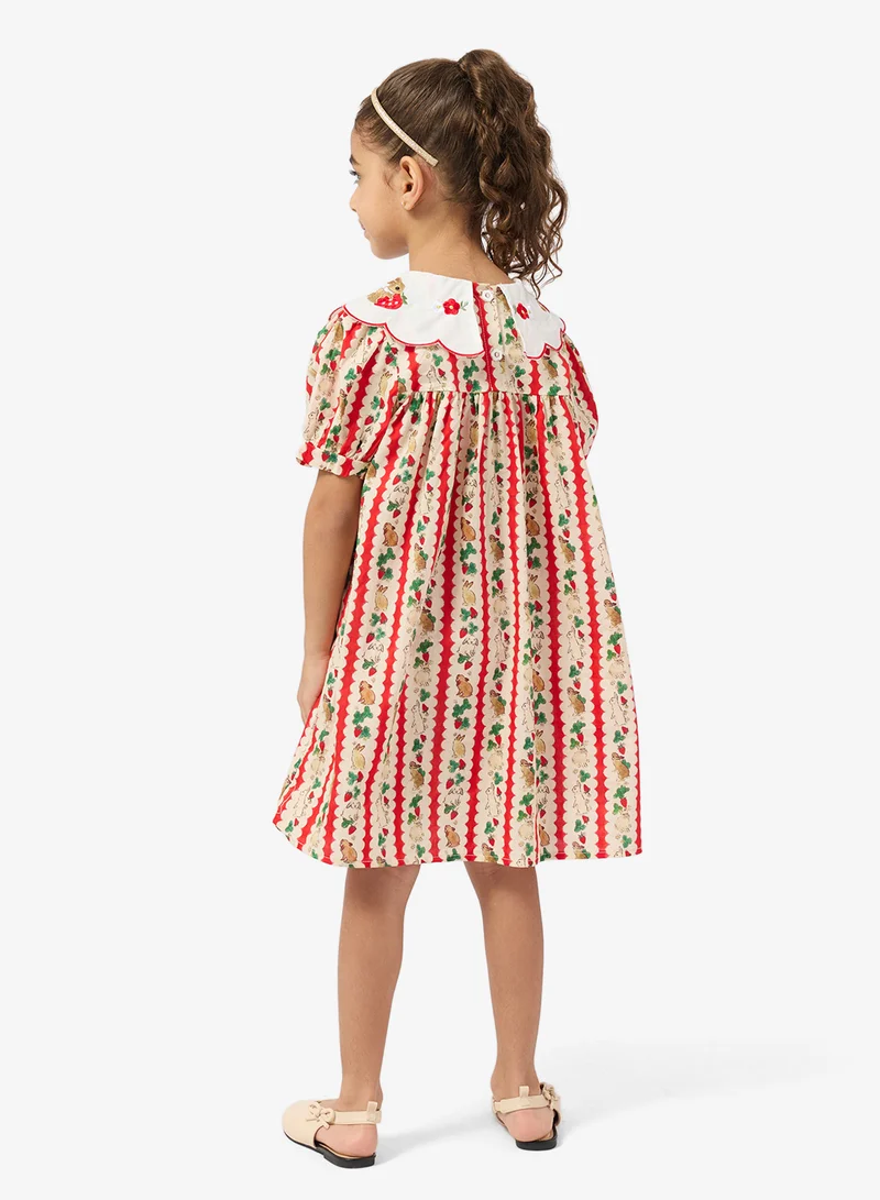 Pinata collar dress